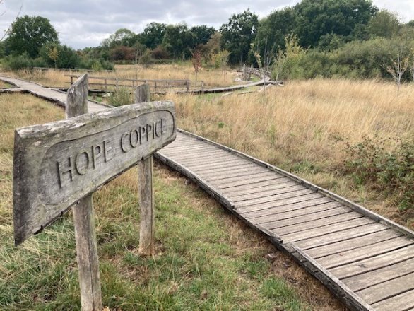 Photograph showing a wooden boardwalk winding through grassland and woodland, with a weathered sign labelled “Hope Coppice”.