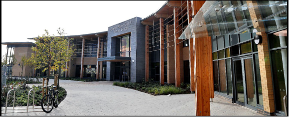 Photograph showing sweeping entrance to a modern school building in brick, timber, expansive glazing and slate grey details. Neat landscaping to the front with bicycle rack and clean paved area creating a contemporary setting.
